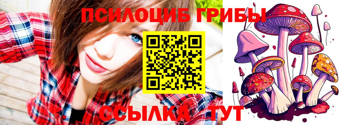 Мефедрон   Родники  Вход с VPN  Канабис  ГАШ  ГАШ 