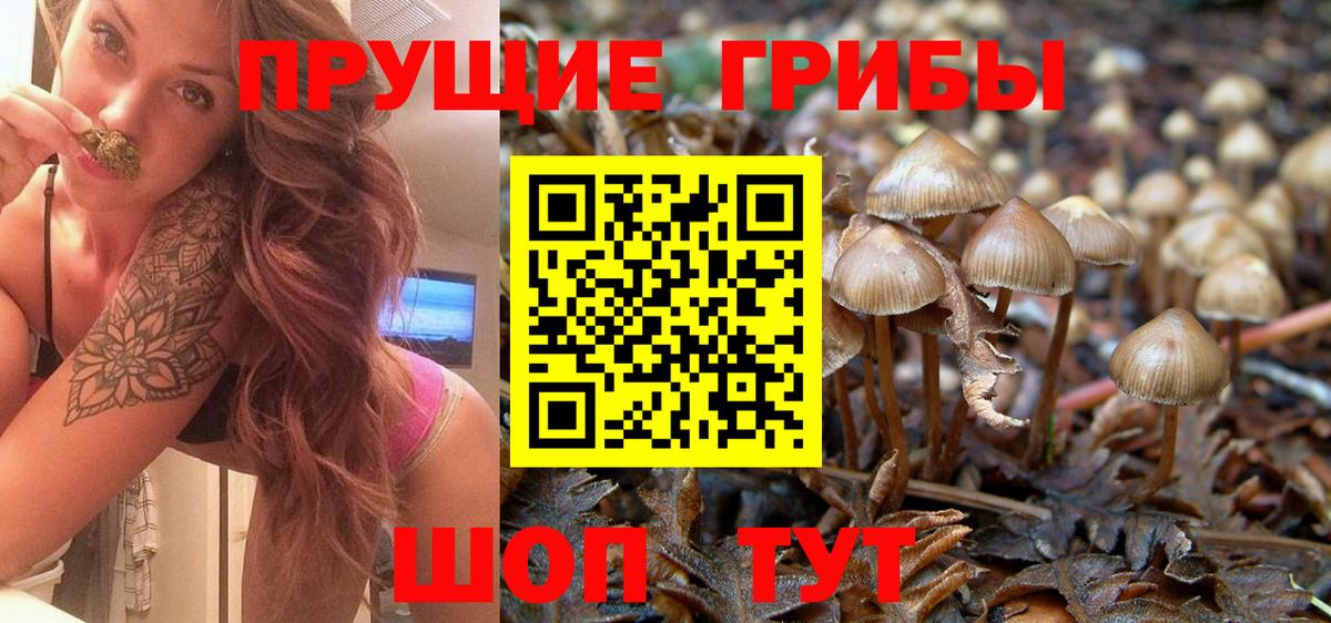 Псилоцибиновые грибы ЛСД Родники