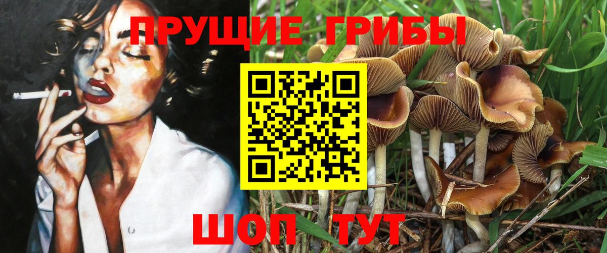 Галлюциногенные грибы GOLDEN TEACHER  Вход с VPN  Родники 
